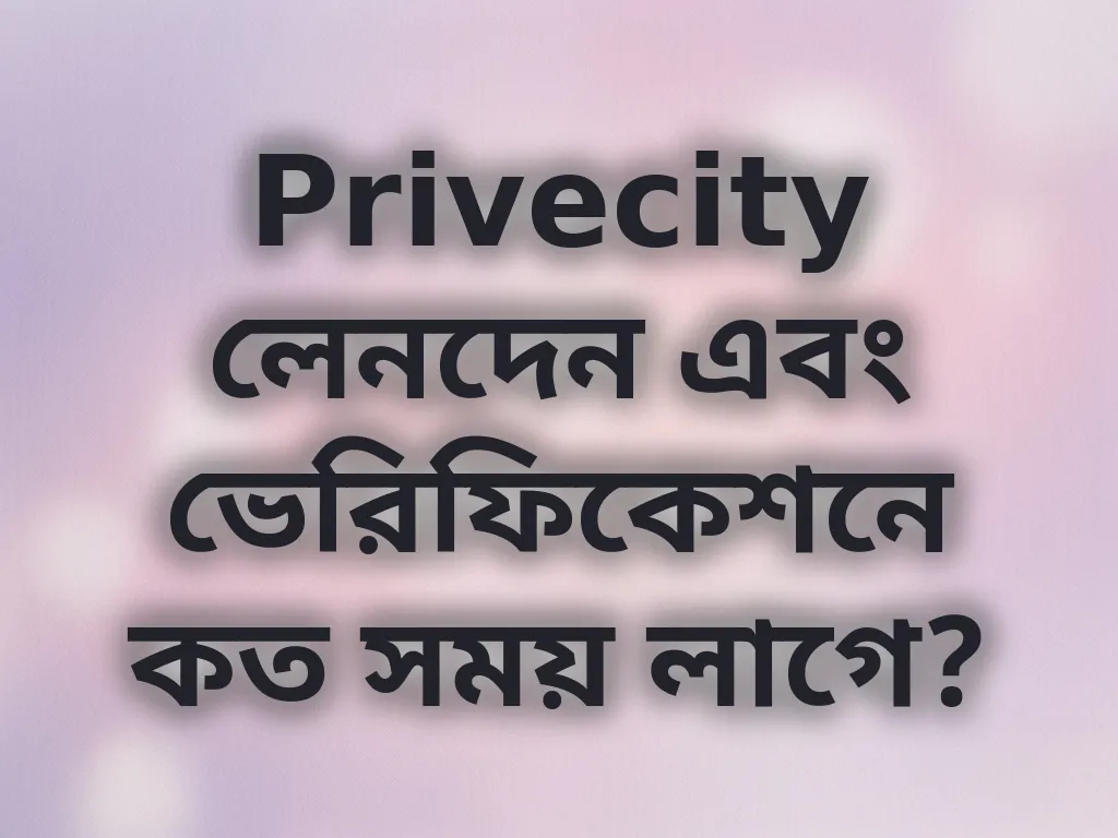 লেনদেন সময়সীমা